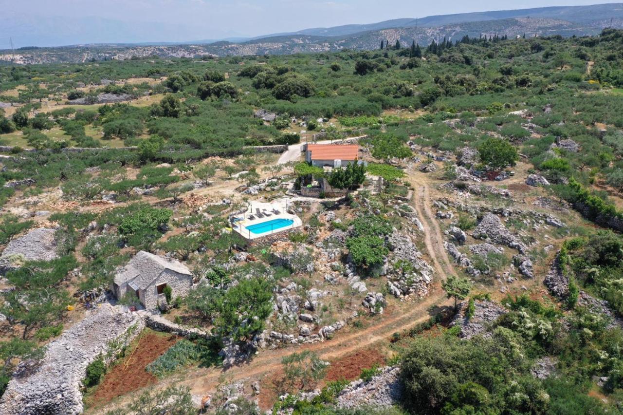 Robinson Crusoe Style House "Maslina" Βίλα Škrip Εξωτερικό φωτογραφία
