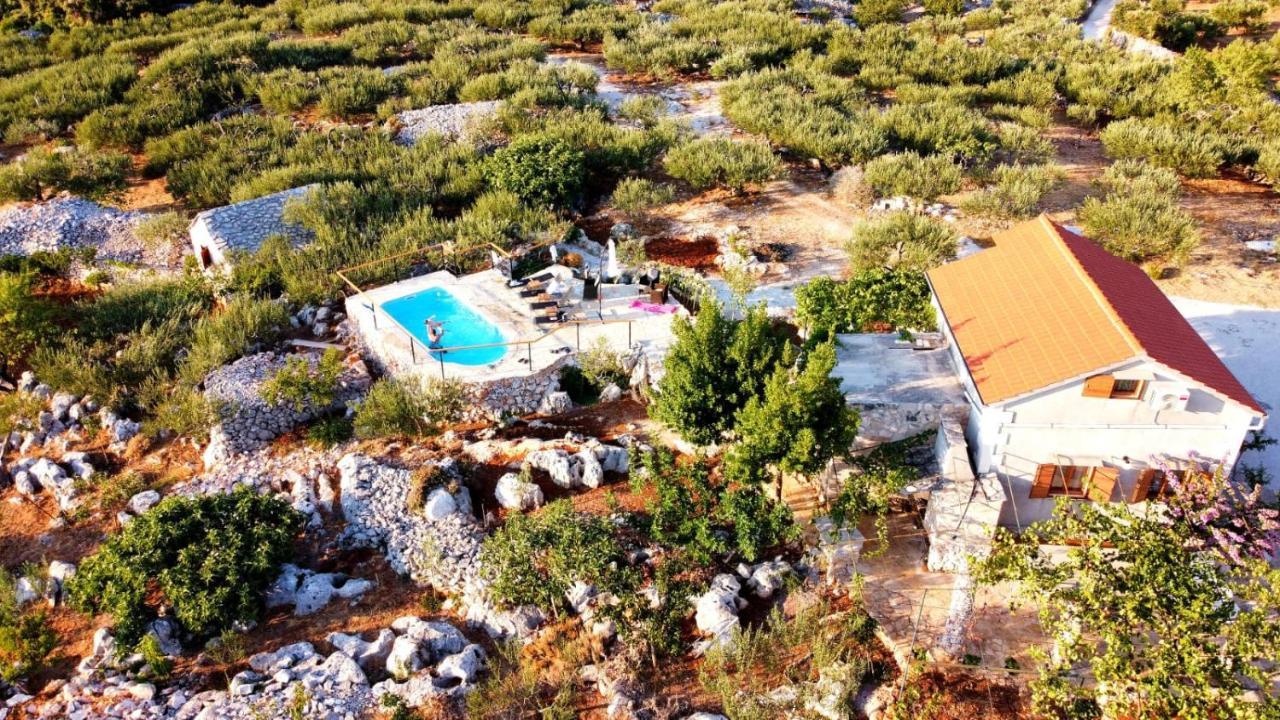 Robinson Crusoe Style House "Maslina" Βίλα Škrip Εξωτερικό φωτογραφία