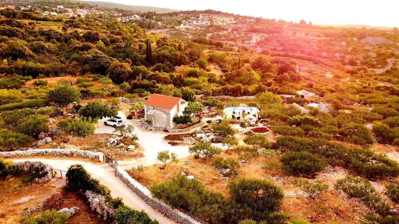 Robinson Crusoe Style House "Maslina" Βίλα Škrip Εξωτερικό φωτογραφία