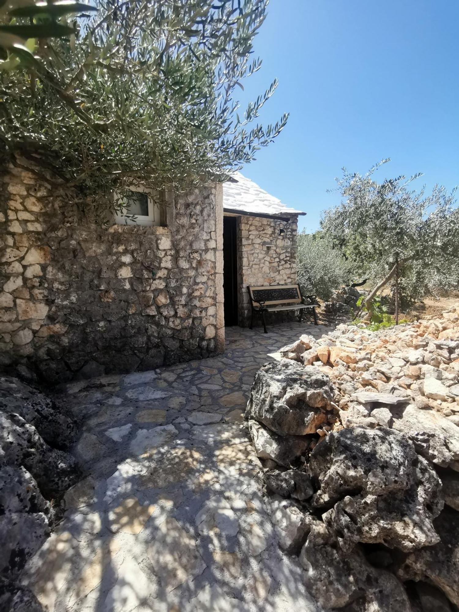 Robinson Crusoe Style House "Maslina" Βίλα Škrip Εξωτερικό φωτογραφία