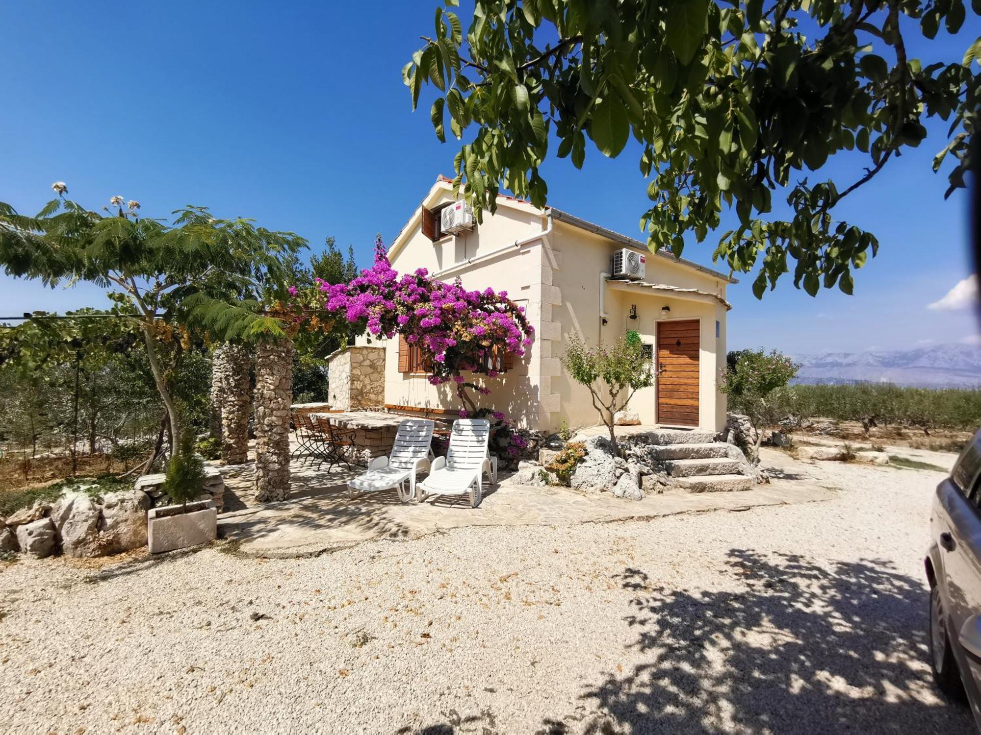 Robinson Crusoe Style House "Maslina" Βίλα Škrip Εξωτερικό φωτογραφία